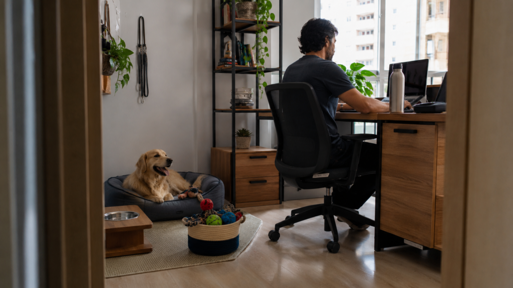 home office bom para os pets